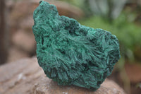 Natural Chatoyant Silky Malachite Specimens  x 2 From Congo - Toprock Gemstones and Minerals 