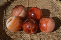 Polished Stunning Carnelian Agate Spheres  x 5 From Madagascar