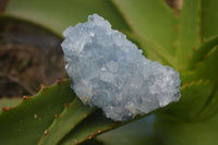 Natural Blue Celestite Crystal Specimens  x 5 From Sakoany, Madagascar - Toprock Gemstones and Minerals 