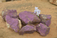 Natural Selected Rough Purpurite Specimens  x 6 From Uis, Namibia - TopRock