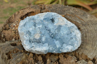 Natural Blue Celestite With Nice Cubic Crystals  x 1 From Sakoany, Madagascar - TopRock