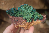 Natural Classic Emerald Dioptase Crystal Specimens  x 2 From Likasi, Congo