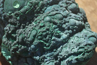 Natural Botryoidal Silky Malachite Specimens  x 5 From Congo