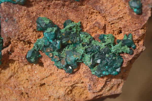 Natural Classic Emerald Dioptase Crystal Specimens  x 2 From Likasi, Congo