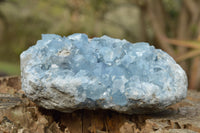 Natural Blue Celestite With Nice Cubic Crystals  x 1 From Sakoany, Madagascar - TopRock