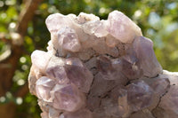 Natural Jacaranda Amethyst Crystal Plate Specimen  x 1 From Zambia - TopRock