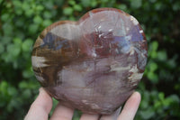 Polished Petrified Red Podocarpus Wood Hearts x 2 From Madagascar - Toprock Gemstones and Minerals 