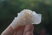 Natural Small Mixed Spirit Quartz Specimens  x 35 From Boekenhouthoek, South Africa - Toprock Gemstones and Minerals 