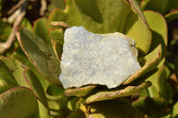 Natural Blue Lace Agate Geode Specimens  x 24 From Nsanje, Malawi - TopRock