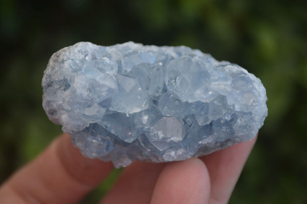 Natural Blue Celestite Crystal Specimens  x 12 From Sakoany, Madagascar - Toprock Gemstones and Minerals 