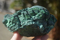 Natural Botryoidal Silky Malachite Specimens  x 5 From Congo