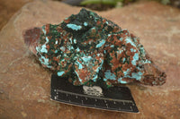 Natural Drusy Coated Chrysocolla & Malachite On Copper Dolomite x 1 From Likasi, Congo