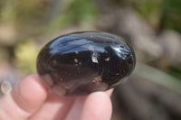 Polished Schorl Black Tourmaline Galet / Palm Stones x 20 From Madagascar