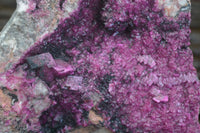 Natural Extra Large Deep Pink Salrose With Black Heterogonite  x 1 From Kakanda, Congo - Toprock Gemstones and Minerals 