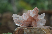 Natural Mixed Quartz Crystals & Clusters  x 16 From Zambia - TopRock