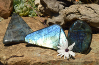 Polished Labradorite Standing Free Forms With Intense Blue & Gold Flash x 3 From Sakoany, Madagascar - TopRock