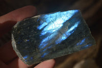 Polished  One Side Polished Labradorite Slices  x 12 From Tulear, Madagascar