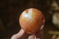 Polished Stunning Carnelian Agate Spheres  x 5 From Madagascar