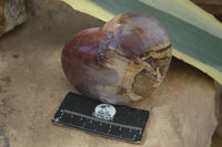 Polished Petrified Red Podocarpus Wood Hearts x 2 From Madagascar - Toprock Gemstones and Minerals 