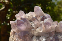 Natural Jacaranda Amethyst Crystal Plate Specimen  x 1 From Zambia - TopRock