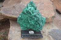 Natural Chatoyant Silky Malachite Specimens  x 2 From Congo - Toprock Gemstones and Minerals 