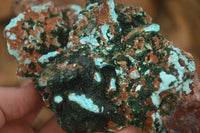 Natural Drusy Coated Chrysocolla & Malachite On Copper Dolomite x 1 From Likasi, Congo