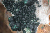 Natural Rare Ball Malachite On Drusy Quartz & Dolomite Matrix  x 1 From Congo - Toprock Gemstones and Minerals 