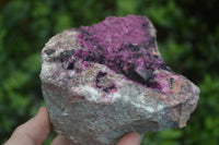 Natural Extra Large Deep Pink Salrose With Black Heterogonite  x 1 From Kakanda, Congo - Toprock Gemstones and Minerals 