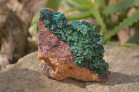 Natural Classic Emerald Dioptase Crystal Specimens  x 2 From Likasi, Congo