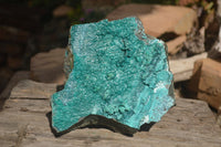 Natural Extra Large Silica Chrysocolla Specimen x 1 From Kulukuluku, Congo