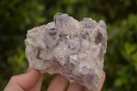 Natural Sugar Amethyst Clusters  x 4 From Solwezi, Zambia