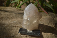 Polished Large Smokey Quartz Crystals x 2 From Angola