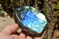 Polished Labradorite Standing Free Forms With Intense Blue & Gold Flash x 3 From Sakoany, Madagascar - TopRock