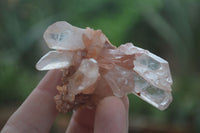 Natural Mixed Quartz Crystals & Clusters  x 16 From Zambia - TopRock