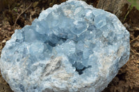 Natural Blue Celestite With Nice Cubic Crystals  x 1 From Sakoany, Madagascar - TopRock