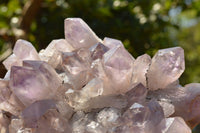 Natural Jacaranda Amethyst Crystal Plate Specimen  x 1 From Zambia - TopRock