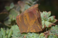 Natural Rough Nguni Jasper Cobbed Specimens  x 25 From Northern Cape, South Africa