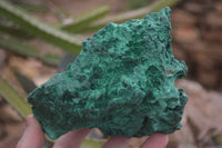 Natural Chatoyant Silky Malachite Specimens  x 2 From Congo - Toprock Gemstones and Minerals 