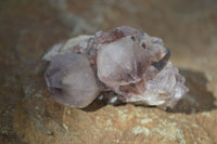 Natural Small Mixed Spirit Amethyst / Ametrine Specimens  x 35 From Boekenhouthoek, South Africa - Toprock Gemstones and Minerals 