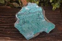 Natural Extra Large Silica Chrysocolla Specimen x 1 From Kulukuluku, Congo