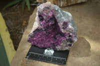 Natural Extra Large Deep Pink Salrose With Black Heterogonite  x 1 From Kakanda, Congo - Toprock Gemstones and Minerals 