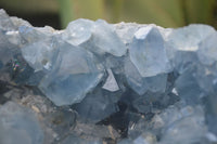 Natural Blue Celestite Geode Specimen  x 1 From Sakoany, Madagascar