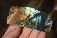 Polished  One Side Polished Labradorite Slices  x 12 From Tulear, Madagascar