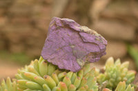 Natural Selected Rough Purpurite Specimens  x 6 From Uis, Namibia - TopRock