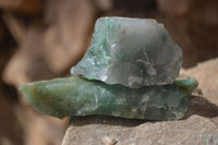 Natural Rough Green Jade Cobbed Specimens x 37 From Swaziland