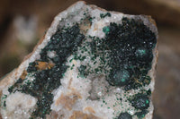 Natural Rare Ball Malachite On Drusy Quartz & Dolomite Matrix  x 1 From Congo - Toprock Gemstones and Minerals 