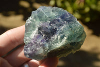 Natural Cobbed & Stone Sealed Watermelon Fluorite Pieces x 12 From Uis, Namibia - TopRock