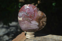 Polished Petrified Red Podocarpus Wood Hearts x 2 From Madagascar - Toprock Gemstones and Minerals 