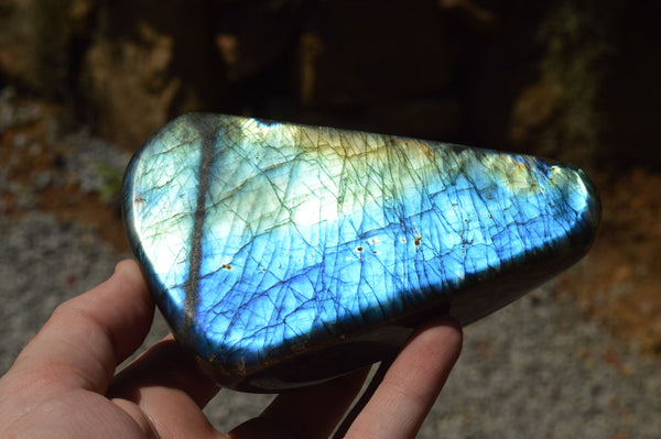 Polished Labradorite Standing Free Forms With Intense Blue & Gold Flash x 3 From Sakoany, Madagascar - TopRock