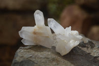 Natural Small Quartz Clusters  x 35 From Madagascar